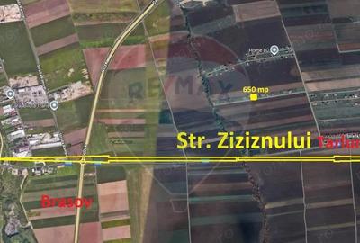 Teren 650mp Sacele / Strada Venus - Gata de Construit | 0% COMISION! - 4
