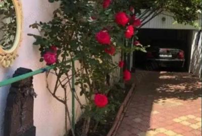 Proprietar inchiriez casa 3 camere, singur in curte, in Piata Muncii - 2