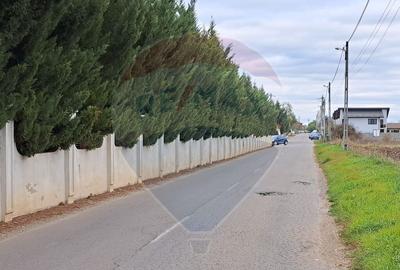 Vanzare teren intravilan construibil Corbeanca, Ostratu, ... - 12