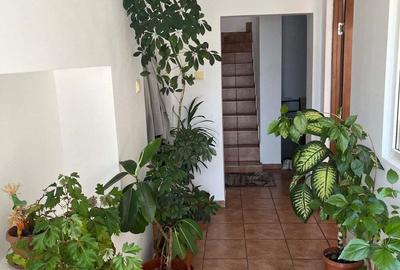 Casă cu 5 camere în Caransebeș - 7