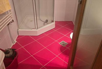 Vand apartament 2 camere, zona Ulpia, etaj 5, bloc din 2009 - 6