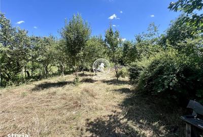 Casă cu 2 camere cu Teren 1940 Mp în Ciurea - 12