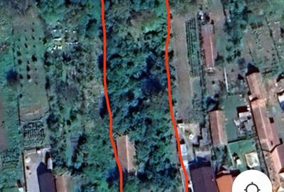 Casă cu 4 camere cu Teren 20024 Mp în Suplac - 4