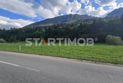 Teren intravilan Zarnesti Plaiul Foii - 12