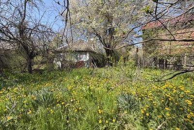 Casă cu Teren 1047 Mp în Lunca - 4