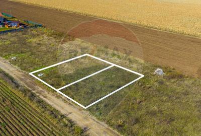 0% Comision | Teren 650 mp | Sacele, Str. Venus | Curent ... - 3