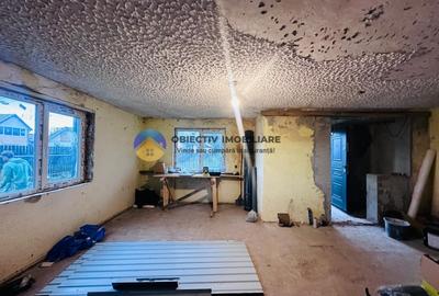 Casa + teren de vanzare – Savinesti - 18