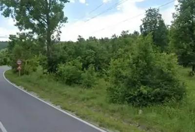 Teren extravilan de 4300 mp, în Eșelnița - 1