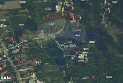 Teren de 1736 mp, în Bogați - 6