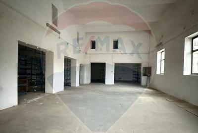 Hala - zona KAUFLAND Burdujeni - 3