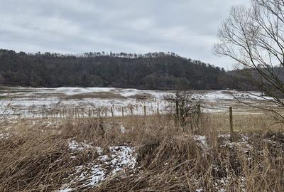 Teren de 17000 mp, în Ceuaș - 4