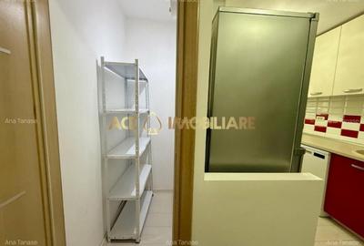Apartament cu 2 camere decomandat, mobilat în Camil Ressu - 12
