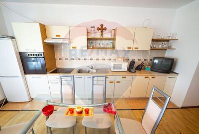 Imobil renovat, 2 apartamente, gradina ?i garaj Turnu - 14