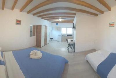 Pensiune Retrasa Ideala Petreceri Private Costinesti - Schitu - 10