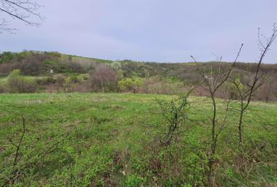 Spațiu comercial, în Fârtățești - 6