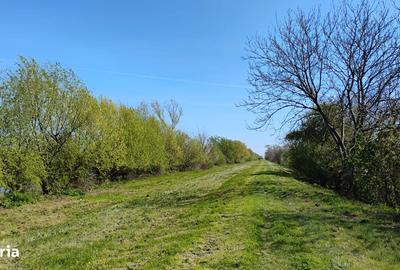 Casă cu 3 camere cu Teren 1000 Mp în Sânmihaiu Român - 2