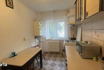 Apartament cu 2 camere decomandat, mobilat în Craiovei - 3