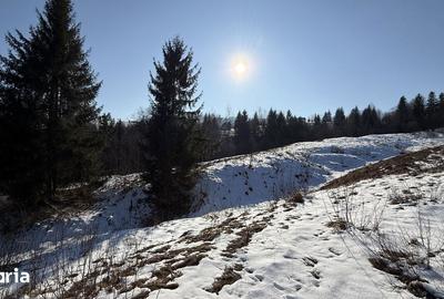 Teren de 21053 mp, în Vama - 1