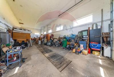 Spa?iu industrial cu potential de vanzare in Paulis,Arad - 3