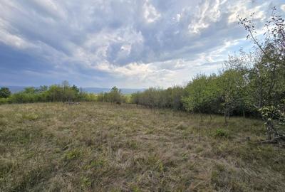 Teren de 7547 mp, în Ulieș - 8