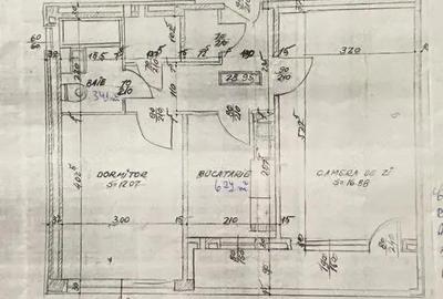 Apartament 2 camere zona Fizicienilor - Camil Ressu - 4