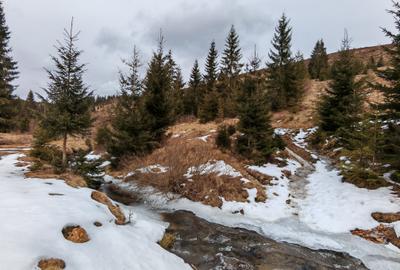 7858 mp TEREN SUPERB CU PARAU SI IZVOARE, BELIS - FANTANELE, Cluj - Transilvania