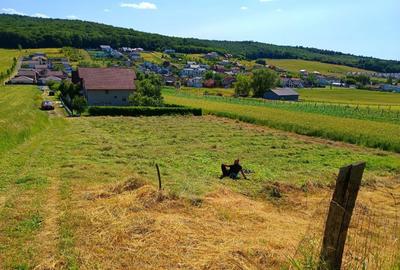 Teren de 400 mp, în Exterior Vest - 2