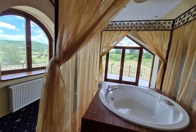 Teren Construcții intravilan de 30000 mp, în Exterior Est - 4