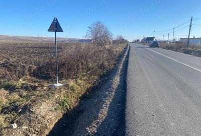 Teren de 4500 mp, în Speranța - 6