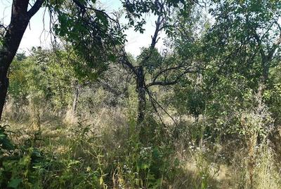 Teren Construcții intravilan de 5500 mp, în Vest - 4