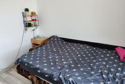 Apartament 2 camere zona Florilor - 7