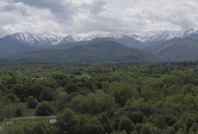 Casă cu 4 camere în Porumbacu de Sus - 1