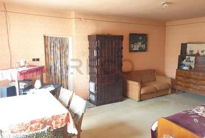 Casă cu 3 camere cu Teren 3000 Mp în Biharia - 9