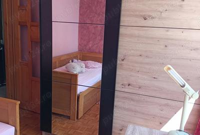 Apartament cu 3 camere semidecomandat în Govândari - 1