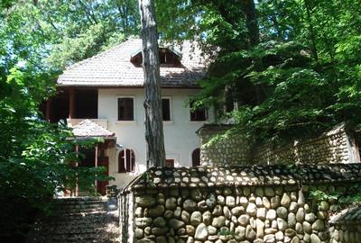 Conac istoric clasa B, 13 ha teren, valoare istorica - 2