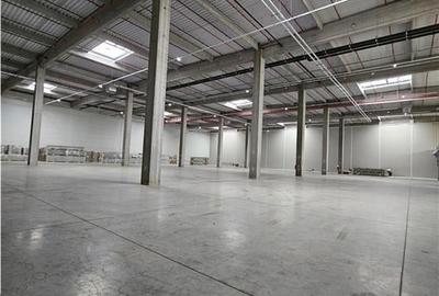 Spatiu Industrial - 4000 mp - Logistica - Productie - Depozitare - Distributie - 4