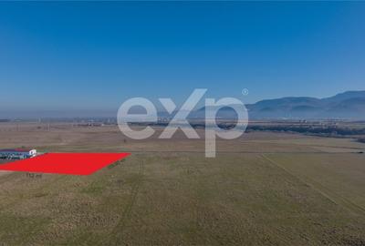 Teren 11.600 mp – Rasnov, zona Tabara, 230 m de DN 73 - 2