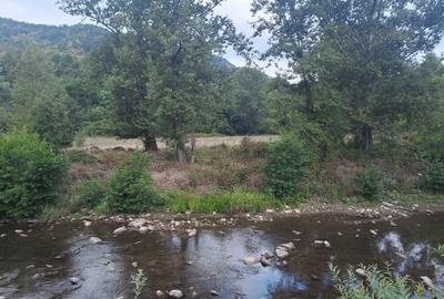 Teren langa apa 2230mp MEHADIA - 1