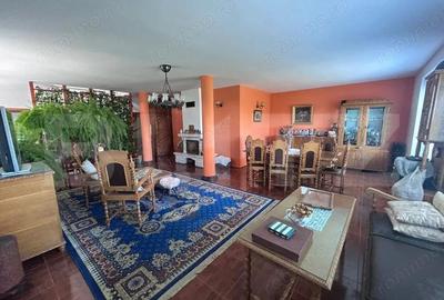 Casa cu incalzire in pardoseala si 17.000 mp teren, sat Oboga - 8