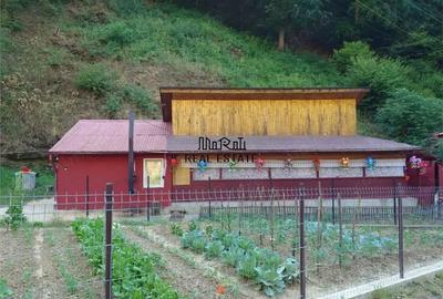 Casă cu 2 camere cu Teren 307 Mp în Criș - 10