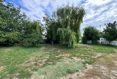 Teren Domnesti | Soseaua Curtea Domneasca | 1060 Mp-intravilan |2 Loturi de 530m - 10