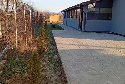 Casă individuală cu 3 camere cu Teren 1800 Mp în Central - 7