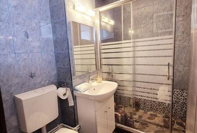 Apartament cu 4 camere semidecomandat în Precista - 13