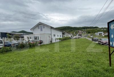 Teren de 1100 mp, în Viișoara - 18