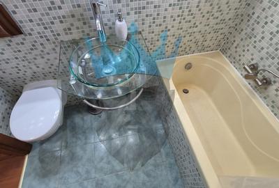 Apartament 3 Camere Iancului - 12
