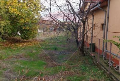 Teren/Loc de casa parcelabil, intre case, 800mp Simnicu de Sus - 3