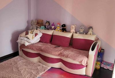 Casă cu Teren 4000 Mp în Central - 7