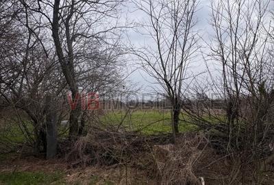 Teren intravilan de 423 mp, în Jilava - 5