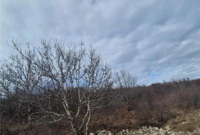 Teren de 2160 mp, în Sigmir - 6