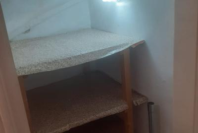 Decebal.Dristorului,vila cu 3 cam,subsol parter,et.1+mansarda,centrala,mobilata - 8